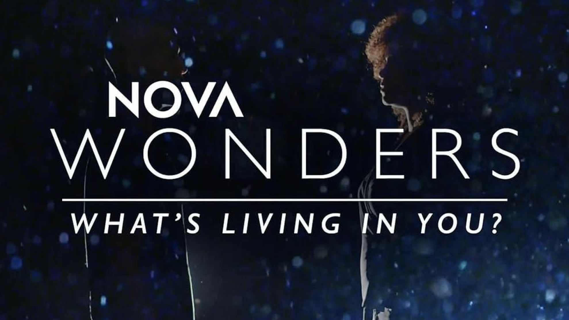 NOVA: What's Living in You? | Video Notes