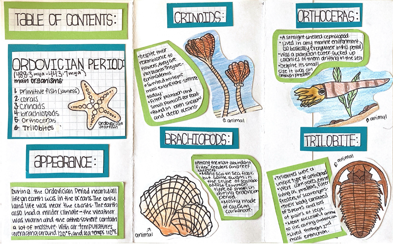 geologic travel brochures student example 11